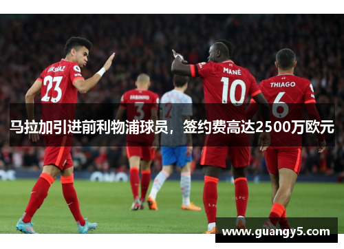 马拉加引进前利物浦球员，签约费高达2500万欧元